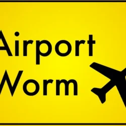 Play Airport Worm